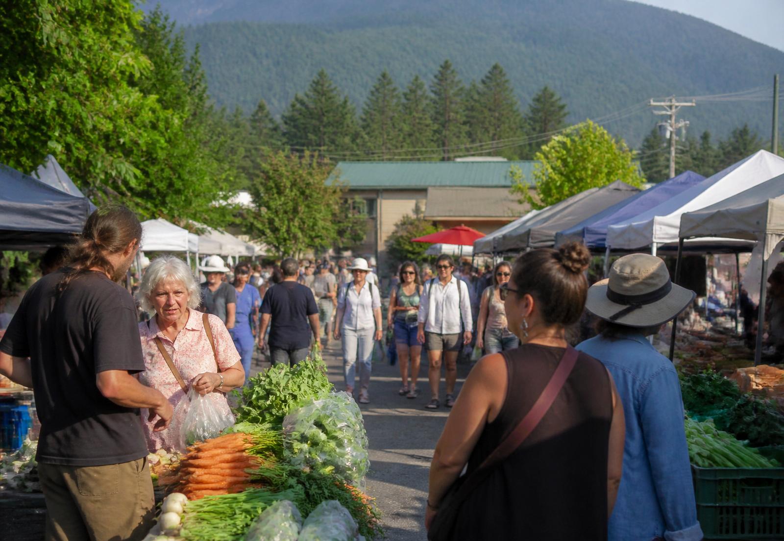 Neighbours browsing produce stalls at a small-town farmers market in British Columbia