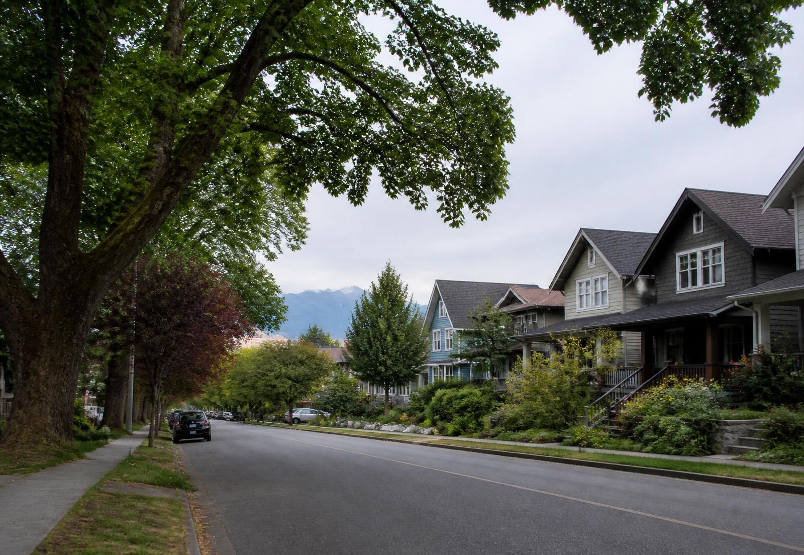Tree-lined residential street with craftsman homes in a British Columbia neighbourhood